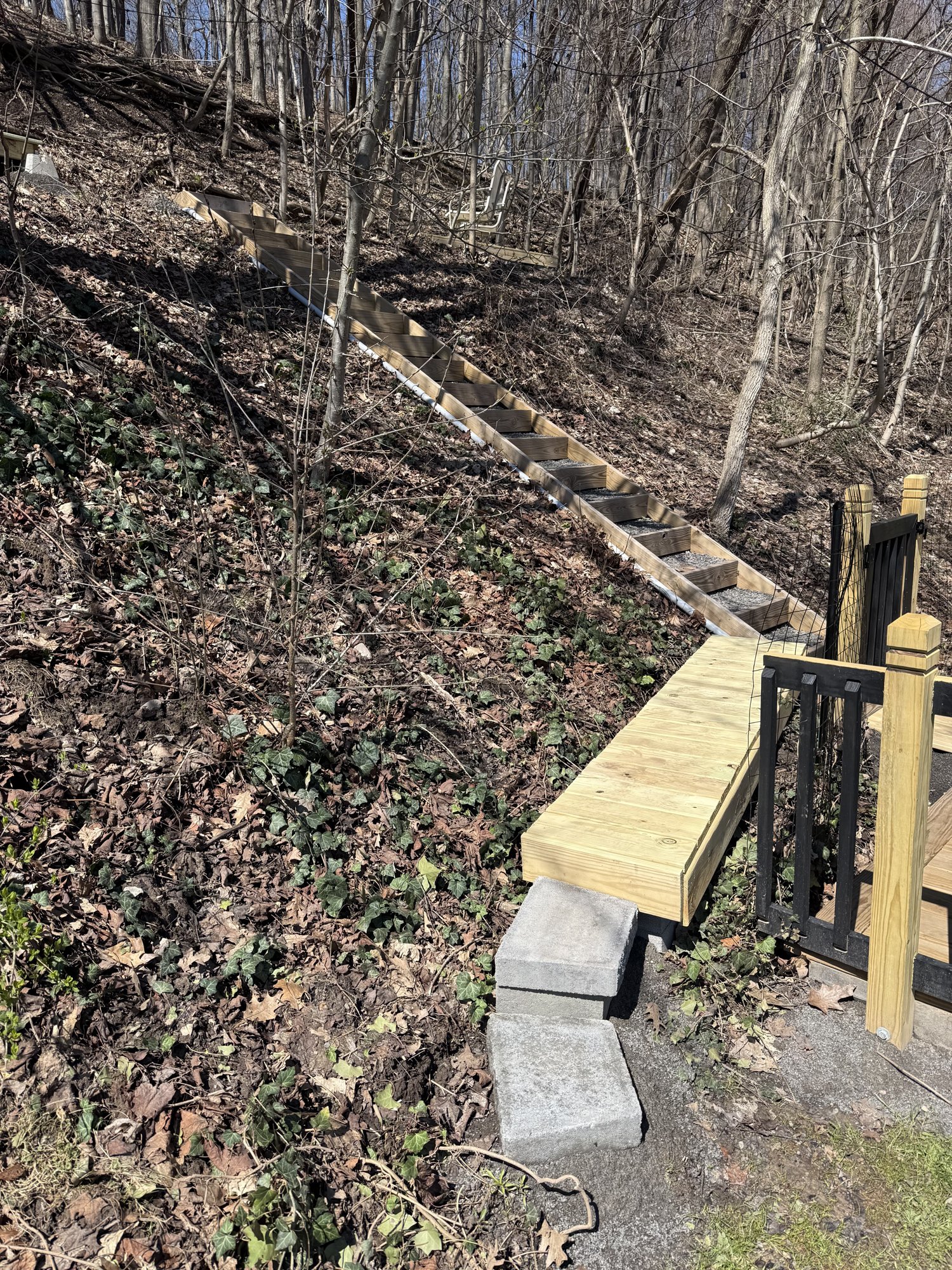 Wooded path to the sauna